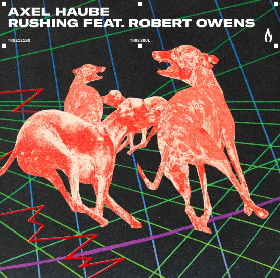 Axel Haube teams up with Robert Owens for Truesoul debut Single ‘Rushing’ Axel Haube teams up with Robert Owens for Truesoul debut Single ‘Rushing’