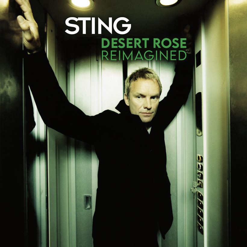 NDD-sting desert rose reimagined